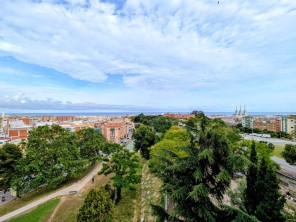Vistas
